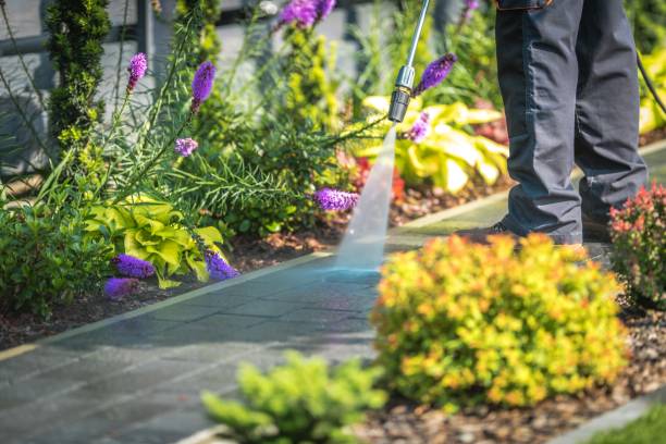 Best Pool Deck Cleaning  in Corcoran, CA